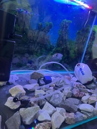 حوض سمك للبيع قياس 50 ×30 غراضة كاملة انارة وفلتر كبير ومضخه صغيرة كام...