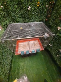 قفص • ٢ جرار • فرمان باران