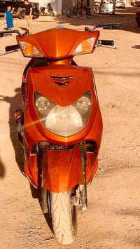 سكنس فحل • نوزل خطين • مشمشي