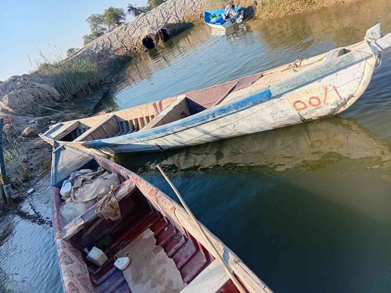 فافون للبيع طول ١٦ ذراع مراوس بزغر ***********
