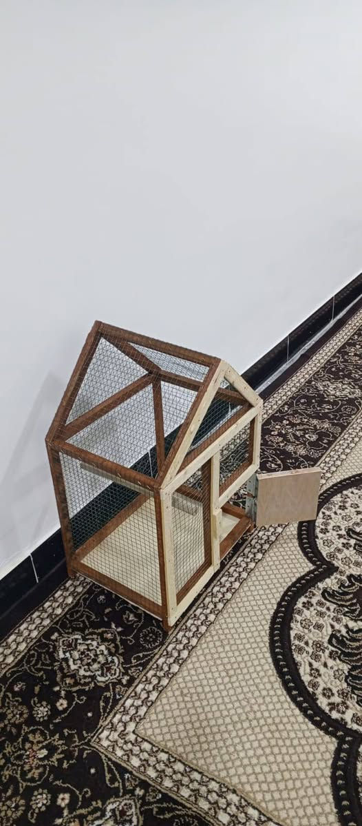 قفص🌐طيور🦜للبيع💰السعر 15,000دينار جديد غير مستخدم ✨يوجد توصيل🚕داخل عنه🏙️ مجاني للاستفسار🤷 اكثر ارسل⌨️ رسالة📨 على الحساب او اتصل🔴 ***********🔴
