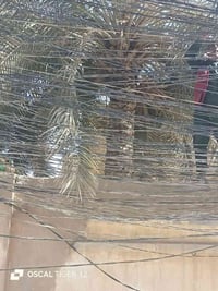 ترتيب قواطع • تسليك وايرات • النجف