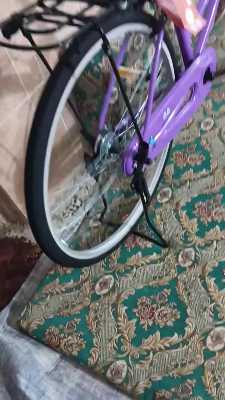 سلام عليكم بيسكل بيدي للبيع كفاله شخط ما بيه حاويه شارع عشرين مديل 22 صالي 4مطلعه حاويه السعر 155 غراضه كامله مكاني ناصريه مركز رقمي ***********
