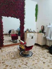 الناصرية • مستعمل • سد الصالون