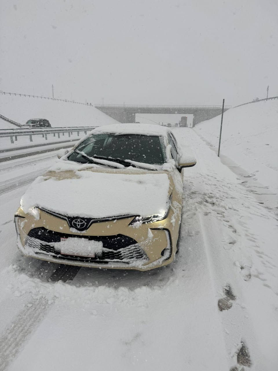 تويتا كرؤلا 2025 مواسەفات hev تاکسی 
ته جميع سيني مانگي ١٠ 
تايه ده نلوپ 
ته نها معامه لاتم پي كردوه 
٢ هه زار رويشتووه
 حسابكه صفره تازه ره قه م
 له زگه م به ستاوه 
فول فوله ده عامي بؤ ده عامي به شه رت 
ره قه م هه وليره 

سعر لە کۆمێنت داوابکە ڕاستەخۆ بۆت دیت 📩 

گیرومەکینە بەشەرت زۆربەجوانی پاکی ماوە هیچ خەلەلیکی تیدا نییە 
شوين هه ولير 

ژمارەی خاوەنی 
***********
