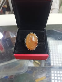 دور نجف حسيني 07822582430