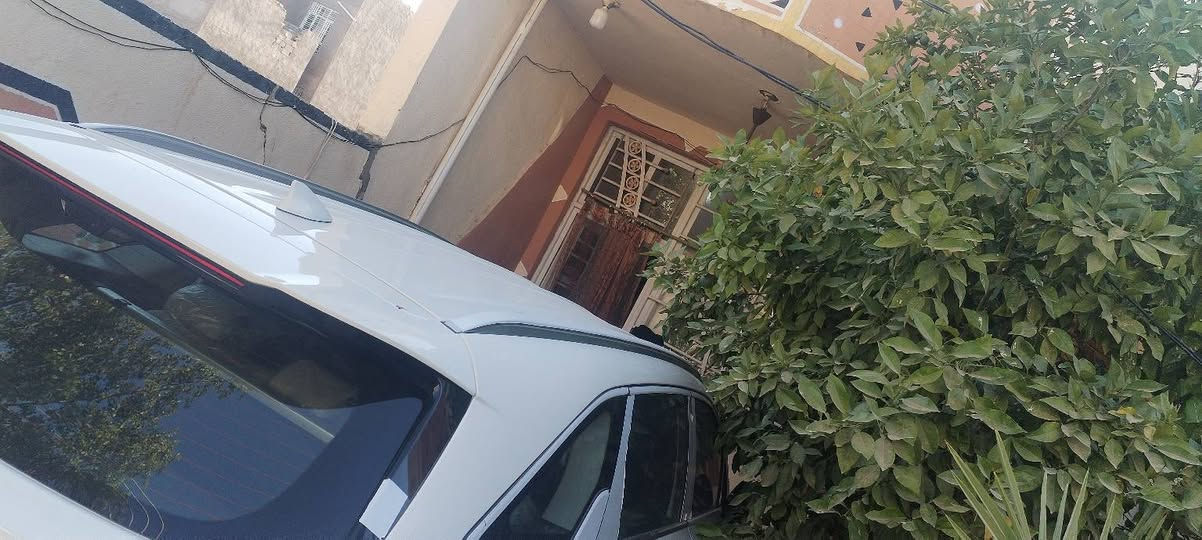 سيارة سورنتو ٢٠٢٥ خليجي ماشية ٩ الف
مكفولة كفالة عامة
كامرات ٢ بصمات ٢ داتشو
ويل ٢٠
العنوان بابل الحصوة حي الحسين
الاتصال ***********
