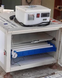 مفقسة 60 بيضة مستخدمة شي قليل من مفاقس حسين النحال للتواصل 07749155254