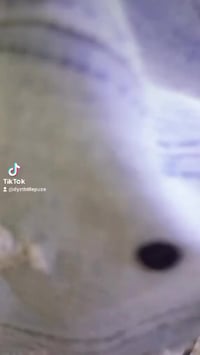 دراجة للبيع • قابل تفاوض • خاص