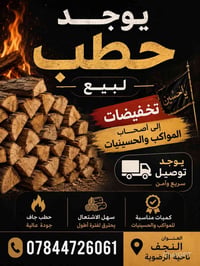 حطب يابس • مواكب الحسينية • النجف الرضوية