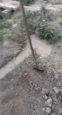 توجد لدينا برينة لحفر الابار الارتوازية حتى عمق 30متر وقطر 6انج/8انج/10انج وباسعار مناسبة 
للاستفسار الاتصال على الارقام التالية 
ابو ابراهيم 
‏‪***********‬‏
‏‪***********
