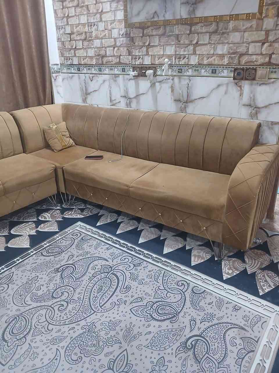 تخم للبيع عدد ٢ الاتصال ،،، ***********
