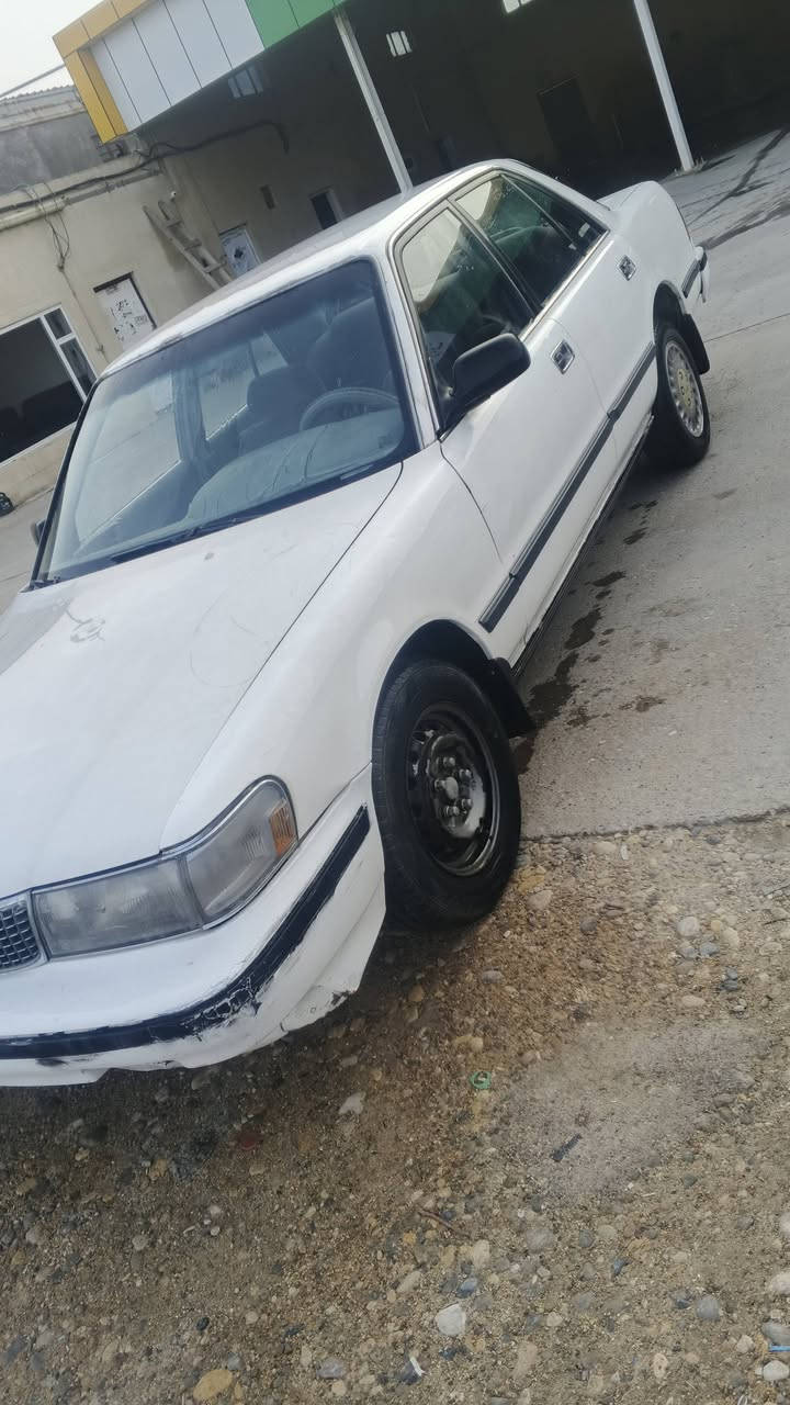 كروسيده ادوات
جديده كلش كصه جنطه 
جديده كلش حلوه كله على وضع الشركة 
مكينه وكير جدد كارتون بلاد السعر 28
***********
