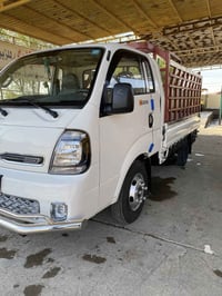 فحل مديل 2024مكفول كفاله عامه للستفسار 07779979917