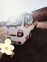 موديل 14 • رقم صلاح الدين • سنوية 31