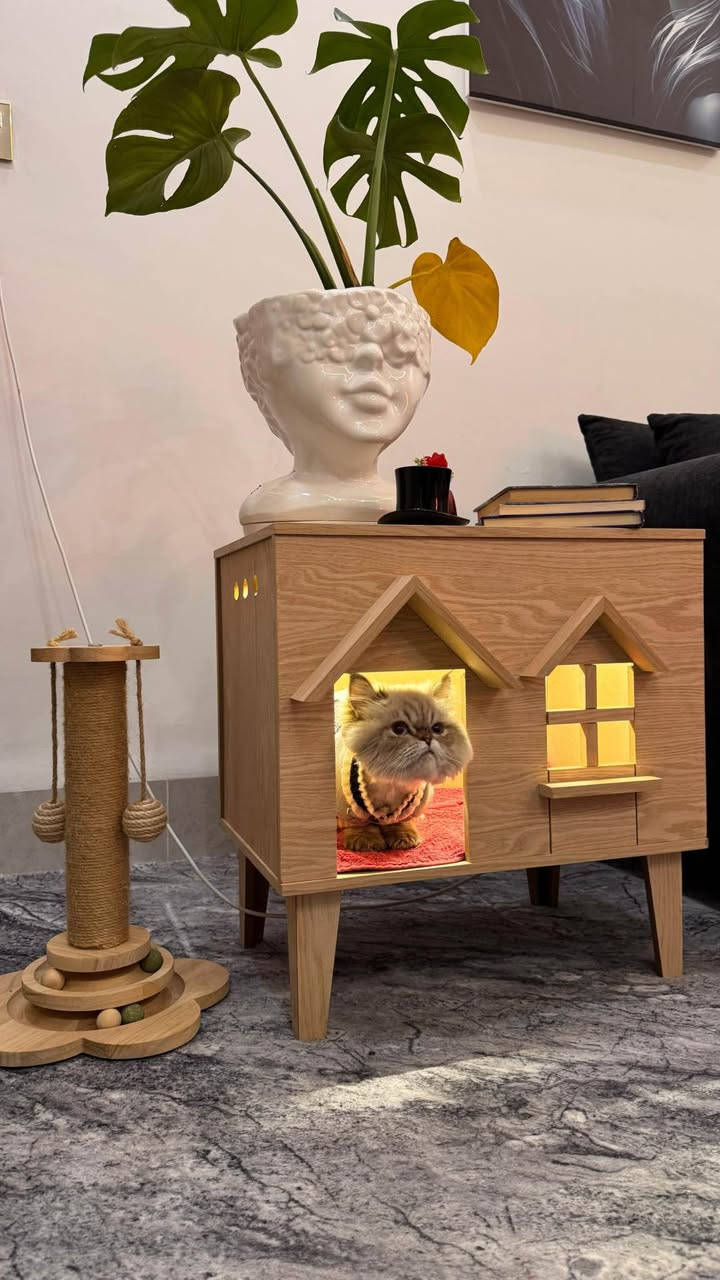 كۆمەدین و دیکۆر و شوێن پشیلە 
شتێکی تا بلێی جیاواز و دەگمەن
شوێن هەولێر گەیاندن هەیە
*********** واتساپ
بە تاک و کۆ بەردەستە
نرخ ٥٠،٠٠٠ أربيل, العراق
