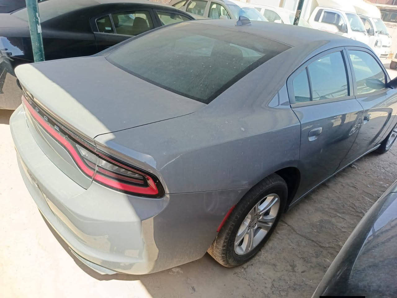 🔺دخول جديد دوج جارجر امريكي🔺
الموديل .2023🪬 اصل 

               (الاصدار الاخيرررر)

              اللون . سمنتي مميز 🩶

المسافة المقطوعة 45 mi فقط وظع الوكالة

حجم المحرك 3600

(كفاله السياره)

مواصفات السيارة ..

-كامرة خلفية دوارة HD

-لايتات زنون وكالة

-تشغيل عن بعد 

-كشنات حضن مع تحكم كهرباء

-حساس خلفي

- بلوجكترات زنون لد امامي 

-شاشة كبيره مع نضام GPS

-مري جانبية هيتر مع عاكس الضوء

-نضام USB- كامل 

-تبريد قطعتين

-بصمة ابواب 

( فحص باسمي اني المستورد بدون رقم تترقم جميع المحافظات)

مكان السيارة الديوانية 🫵

اي استفسار الاتصال. متوفر وتس اب 

📞‏‪‏‪***********‬‏
