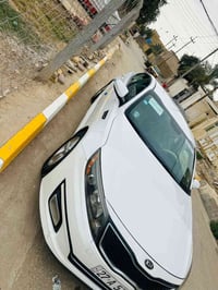 اوبتيما • ٢٠١٥ • مكفولة سنوية
