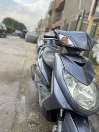 ياباني • فحل • كفالة عامة