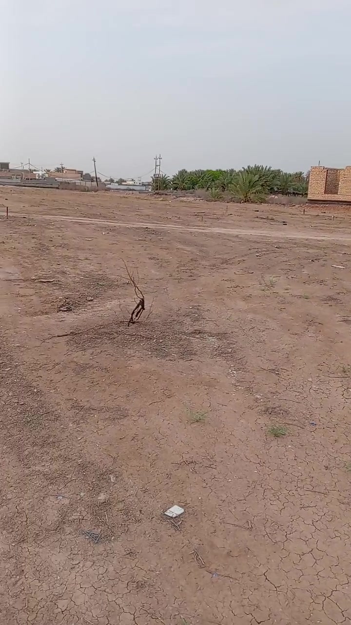 السلام عليكم قطعة أرض للبيع الخالدية ابو فليس قرب ثانوية عمر المختار والمركز الصحي ومقابل ملعب عدي مساحتها 1100 متر التقطيع حسب الطلب سعر المتر 40 ألف  للإستفسار التواصل معي صاحب الأرض مصطفى عاصم العيفان ***********
