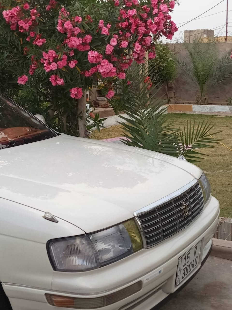 السلام عليكم 
سياره بطه موديل 95
مكفولة من الاصوليات والگللبه والگصه مصبوغه جماليه اثر جراد 
محرك 2500 ديلكو  جديد تبريد  قطعتين هستوي شديته منضومه جديده 
گير جديد ستوني مبدله 
غرفه جديده كشنات كهربائي
رقم جديد  أنبار نكليزي سنويه إلى 30
عوازل جديد تحويره جديد تخم جديد  عدست رأس الثور استيرن راس الثور 

مكاني نجف 
السعر 70 وبيه مجال 
***********
 تخم تاير جديد 
سياره احلى من الصور
