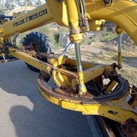 للبيع كريدر فاون فريش 07825227759