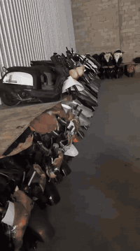 دراجه بوليسي رمبه كلشي ما بيه نقص ما مفتوحه لمكينه كلشي بلادي كفاله عامه رايدها بمليون و100وبيه مجال البصرة المعقل ***********
