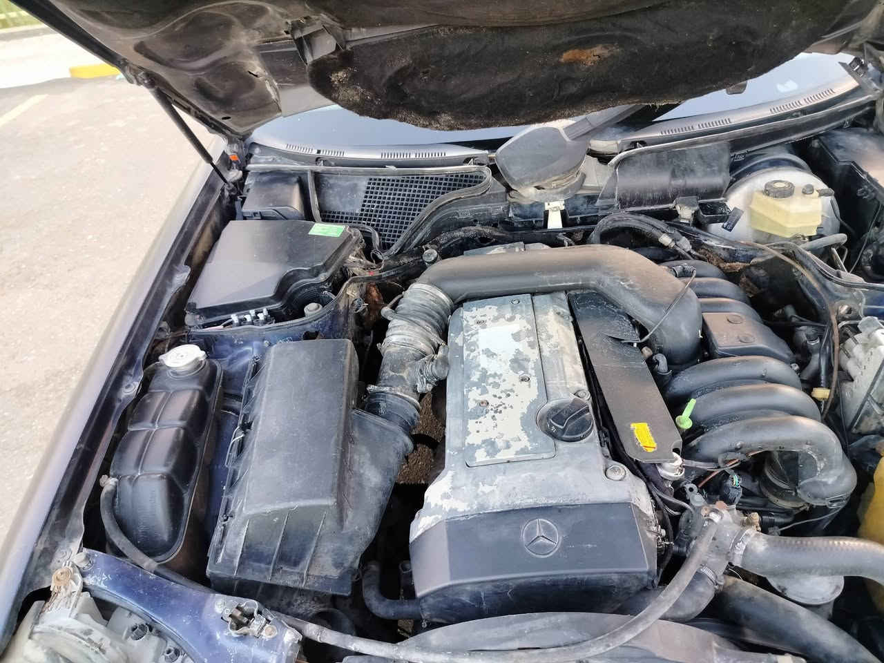 سلام عليكم مارسدس ام عيون موديل 95 رقم سليمانيه الجديد سياره على ابلاد بدون حادث محرك خرطيم المحرك والكير والصدر وتايرات لوك داخل كلش نظيف جاهزه السياره فقط بيها جراد مابيها كل حادث السعر 59 تري شرط وين يعجبك *********** السياره تريد تحويل او وكاله السياره بلاش
