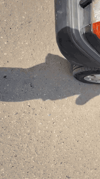 سلام عليكم...
دعامية أمامية مال دب اصليه بيها تصليحات موضحه بالفيديو

السعر 70 الف 

مكاني ناصريه المركز

إتصال ***********
