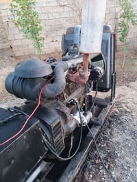 ديالى • بيركنز انكليزي • ٥٠كيفي