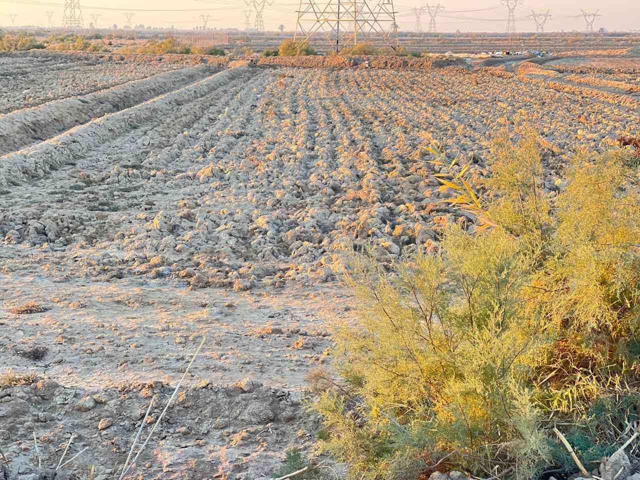 دونم نص طابو 25 زراعي يتحول بالأسم خلف محطة طاقة الكهرباء على طريق بغداد الوجه 37 ونص متر النزال 85 متر 
تصلح مزرعة او بستان + يوجد ماء / كهرباء / بناء 
السعر 50 وبيها مجال 
للاستفسار *********** دهل اوران, واسط
