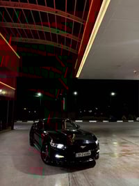 موستنك • V6 • ٢٠١٦