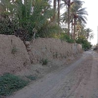 بستان • نص دونم • سند تحويل