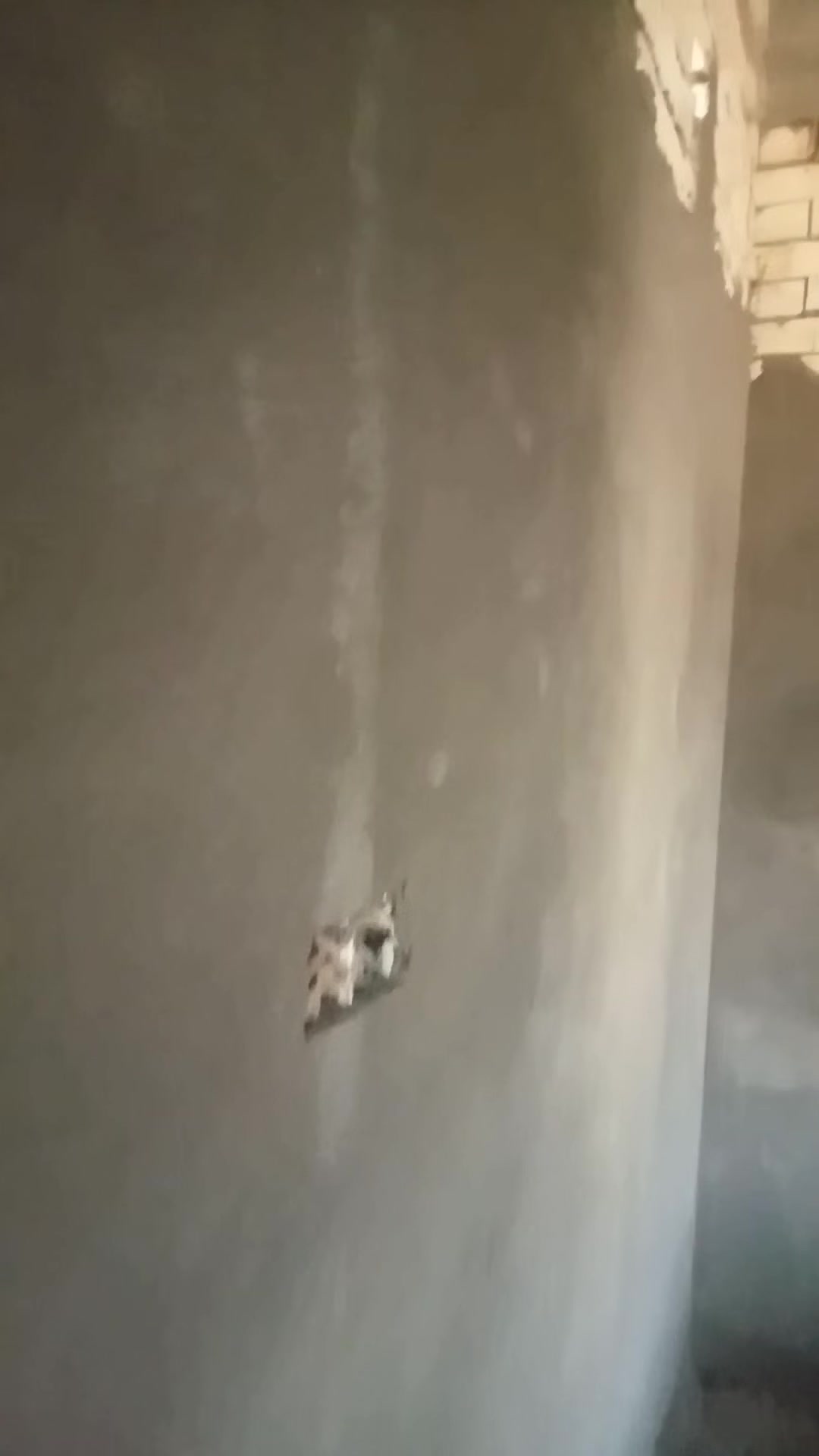 كادر لبخ متفرغ للعمل في البصرة أبو الخصيب لبخ داخلي وخارجي على الكبان بياض وجص فني إيراني جوده عاليه لاتصال أو واتساب 

                  *********** 👉
