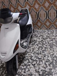 فراشة • شرط الفحص • مش للبيع