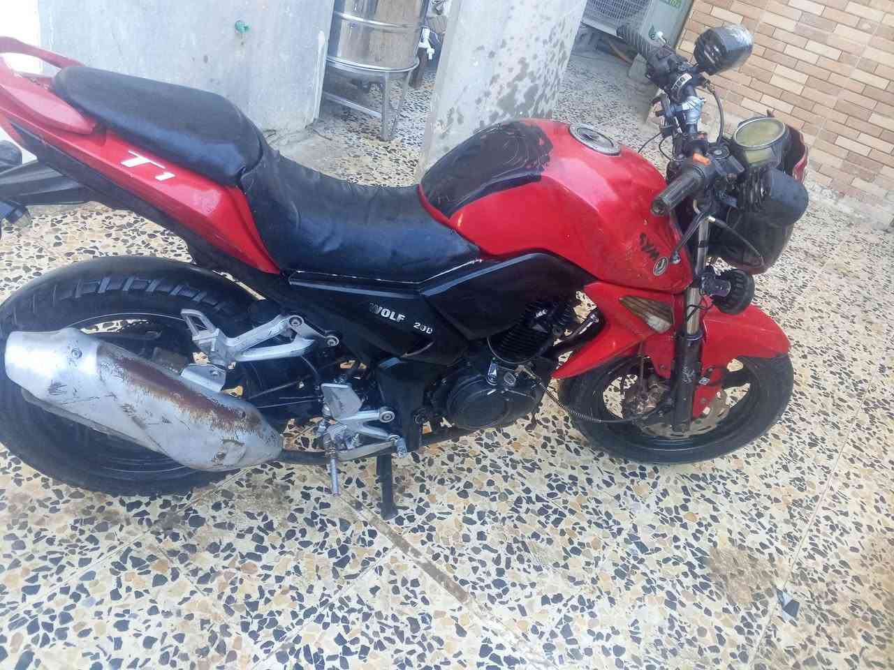 سلام وعليكم شباب عِنـ.̷̷̸̷̐ـديّ  سايم بطح موديل 19 مكفوله بكلشي بس نقصه بريك خلفي سعر خاص انتصل عل رقم ودلل مكان فلوجه ***********
