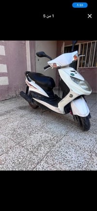 سكنس فحل للبيع نگره سلف  السعر 700  بغداد الجديده المشتل 07712307354