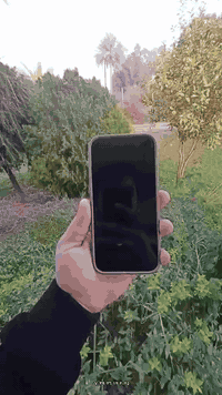 تفاصيل بالفيديو سعر الاتصال على هذا رقم ***********
