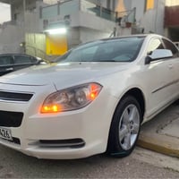 ماليبو • ٢٠١١ • السليمانية