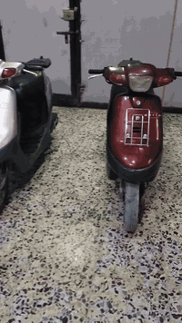 بطات ثنين وحده ماروني وحده رصاصي بلادي الفين وتلاثه ثنينهن دراجات مابيهن صوت روله لا صوت أكسن ولا صوت كير كهربائيات كله شغاله ***********
