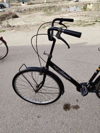 باسكل • حجم ٢٦ • محاويل حي ابو زديره