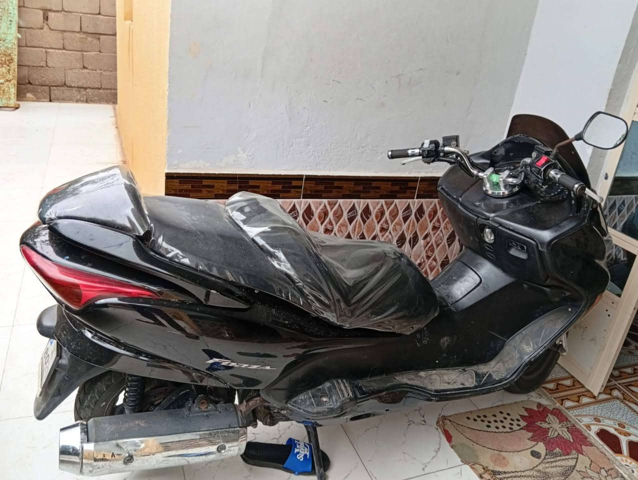 سلام وعليكم خوان فورزه البيع مكفواله كفاله عامه ما فتوحه توا سويتاله دلمه كاماله دراجه صفر 8 نفته 90 بالميه سعره 950وبيه مجال


**إذا كنت صاحب هذا الإعلان وتريد حذفه لأي سبب، رجاءا أرسل رسالة إلى الدعم الفني**