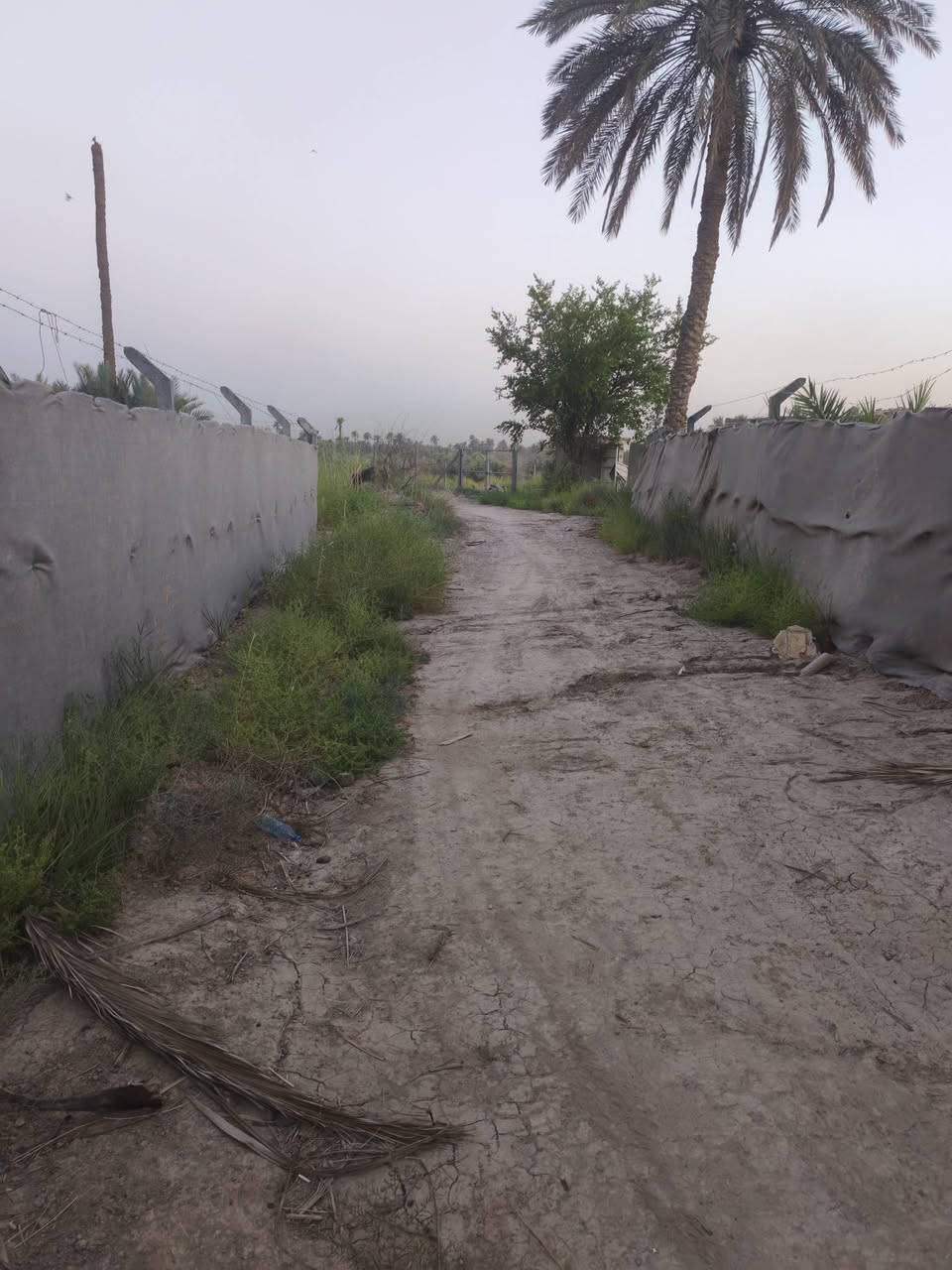 قطعه مساحتها 600متر
قرب سيد محسن كريطعه
القطعه فرعيه
طابو زراعي سند25

مكتب وعقارات الوارث
***********
