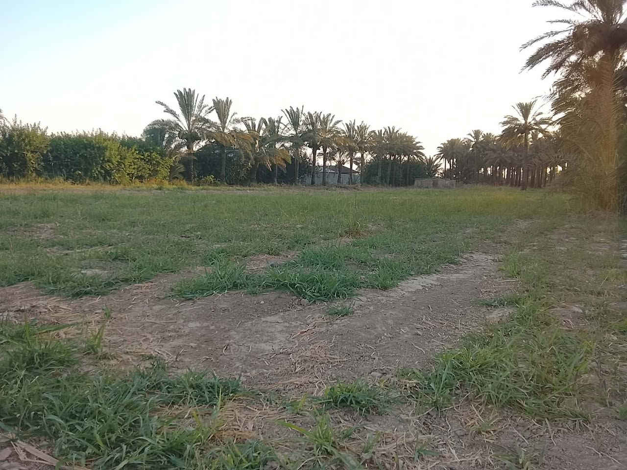 دونمين ملك صرف للبيع الاتصال ع الرقم *********** الصناعه الثالثة منطقة العثماينه
