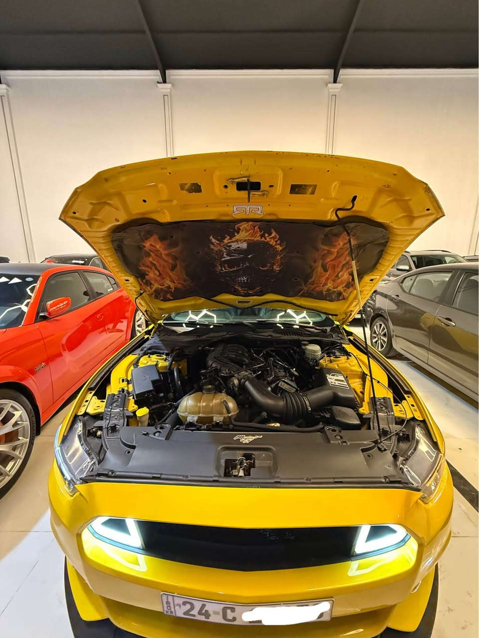 السلام عليكم اخوان موستنك للبيع موديل ٢٠١٦ 🍋 👺
سعر فقط ١٥٥$ ورقة و بيها مجال 🇺🇸☠️
مواصفات ٦ سلندر يحني محرك ٣٧٠٠ مرغوب 😈
سيارة كلين تايتل فقط بيها مكانين تعديل بارد 
يحني سيارة بدون صبغ بدون صبغ بدون تبديل بدون مفتوع بدون ايرباك بدون ضربة جاهزة اي نواقص مابي 
مواصفات معروف ٦ سلندر تشغيل عن بعد كشنات كهرباي كاميرا دواخل مبدل لون ازرق صقف ليد متغير الوان لايت امامي ٢٠٢٤ محدث بكلايت خلفي متغير الوان 
تاخم ويالة روهان ٢ سايز يحني جاهزة بكل انواع 
كير محرك حجر كواتم كل ضمان برغي مامفتوع ماشي ١٠٠ الف مكان سيارة اربيل تعويل ثاني يوم ***********☠️ أربيل, العراق
