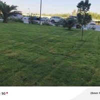 تصميم حدائق • تنظيف وإدامة • مهندس زراعي