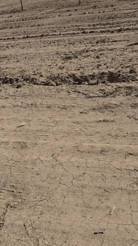 مجمع ال هرموش قرب سيد سرحان تبعد عن شارع العام كليو ونص
القطعه مساحه ٥٠٠ متر ب١٢ مليون

سند ٢٥

مداور ثاني يوم

القطعه هيه وسياج أبي ارسي ب١٢ مليون
*********** اتصل عليه رقم هاتف
