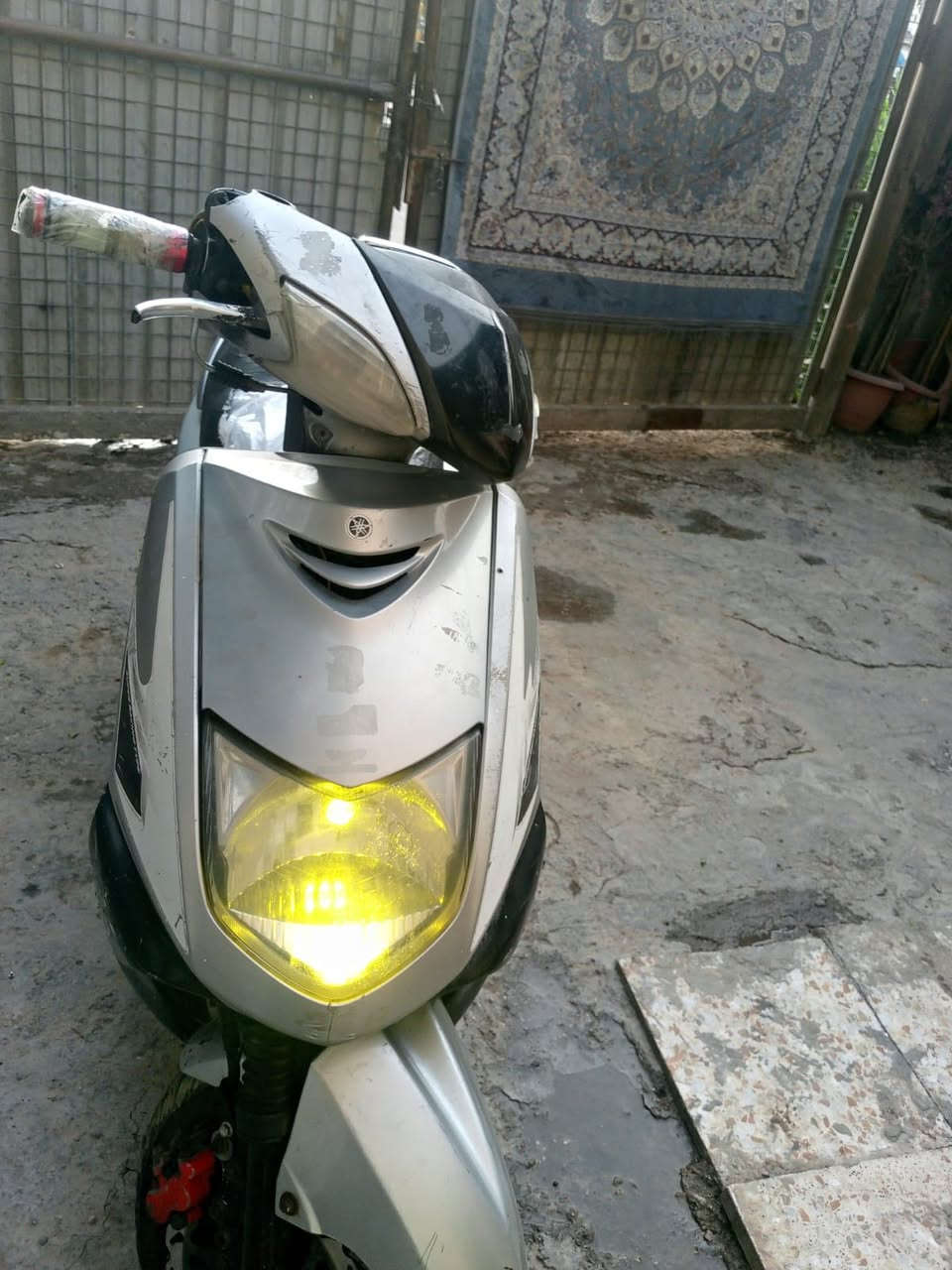 سكنس للبيع 250الف ***********
