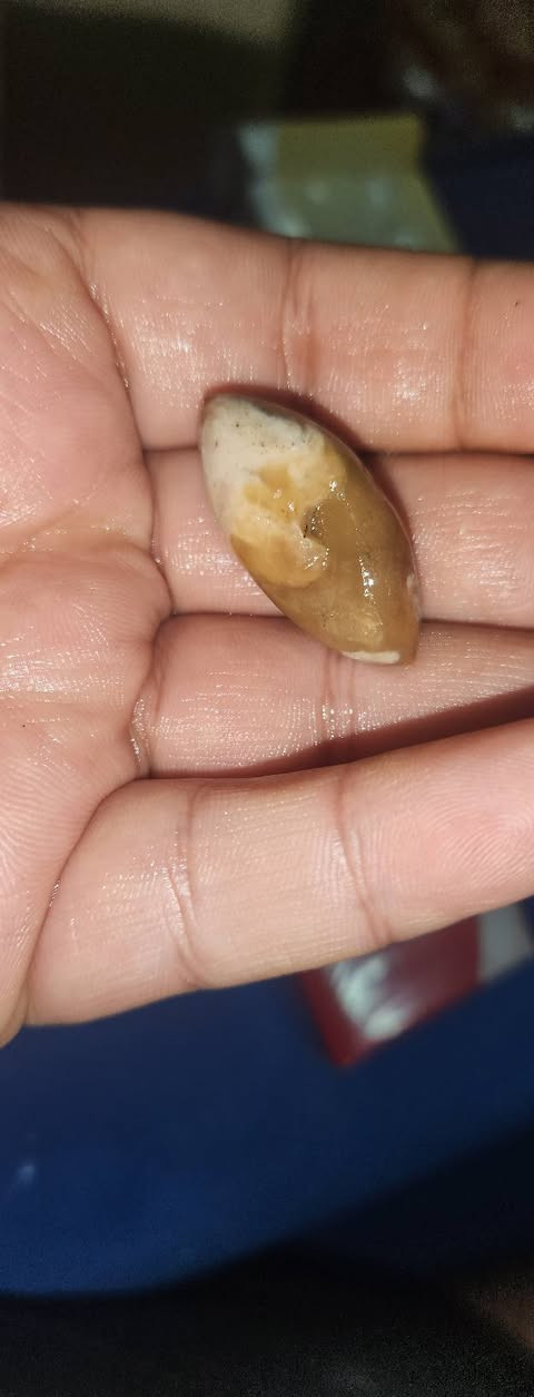 السلام عليكم مجموعه خرز للبيع او مرواس سليماني داوودي عطف دوادي ودهن ودبس سلطاني بسعار مناسب العنوان بغداد  تواصل ***********
