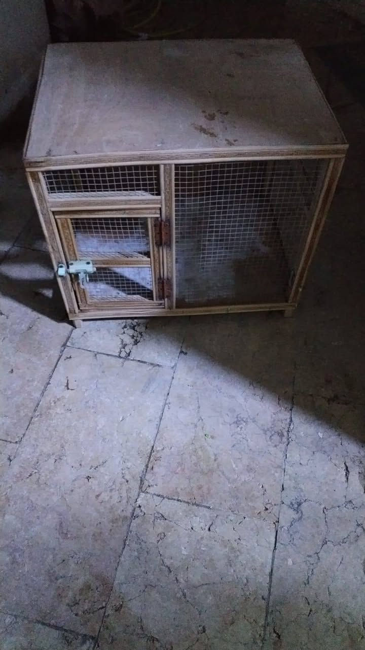 السلام عليكم...
1/اقفاص 2 ارتفاع متر وربع وعرض 60 سم خانتين ...سعرهم بالسوك 35 الف 
الواحد 20الف واذا ثنينهم 40 الف قفل
2/واحد صغير خانه وحده سعره 10 الاف قفل
3/واحد 4 خانات ارتفاع متر وربع عرض متر سعره 30 الف وبي مجال قليل 
اخوان الياخذهم كلهم يدلل بالسعر الشراي فقط يراسلني واتساب او يتصل 
الرقم /***********
المكان /كربلاء حي العامل المنطقه السابعه كربلاء, العراق
